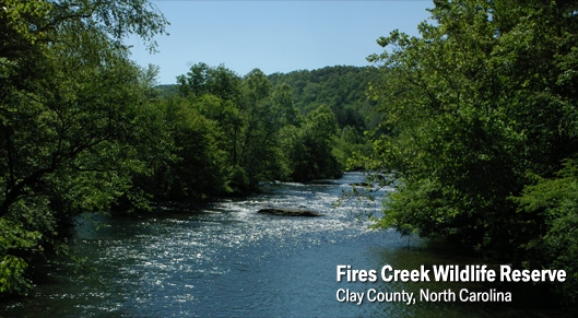 Fires Creek National Wildlife Reserve - Hayesville NC