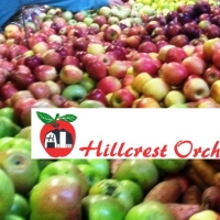 Apple Pickin Jubilee Hillcrest Orchards