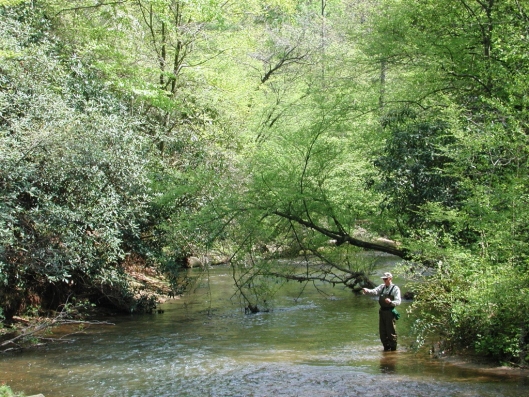 Fly Fishing on the Soque River in Batesville, Georgia