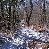 Whiteside Mountain between Cashiers and Highlands