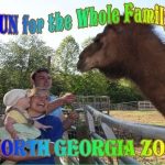 North Georgia Zoo & Petting Farm